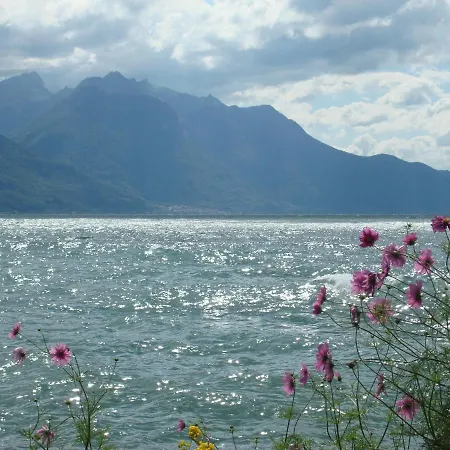 Le Leman *