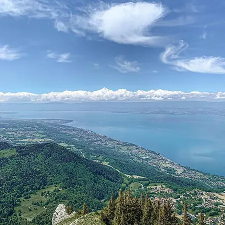 Apartment Le Leman Thollon-les-Memises